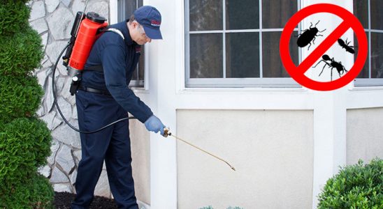 Şehitkamil Bit İlaçlama böcek ilaçlama ve haşere kontrolü — ilaclama-tr.com